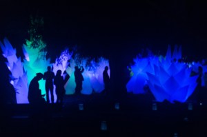 Share-RexWinterbottom-1