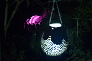 Share-RexWinterbottom-12